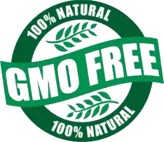 GMO mentes